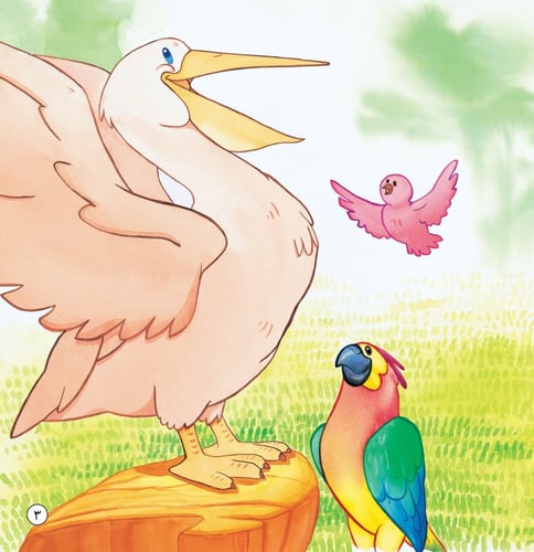 عالم الطيور - قصص المكتشف فهمان