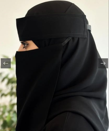 عرض 3 نقاب مشبك