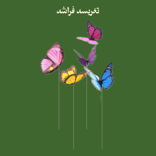 تغريسه فراشه