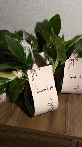 توزيعات العودة للدوامات