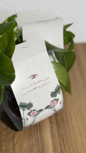 توزيعات التخرج