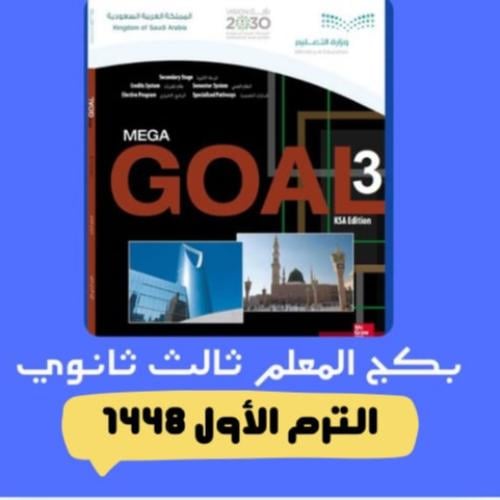 Mega goal 3