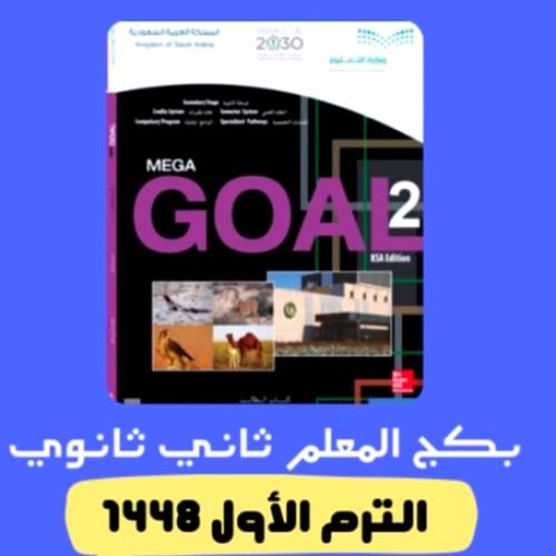Mega Goal 2