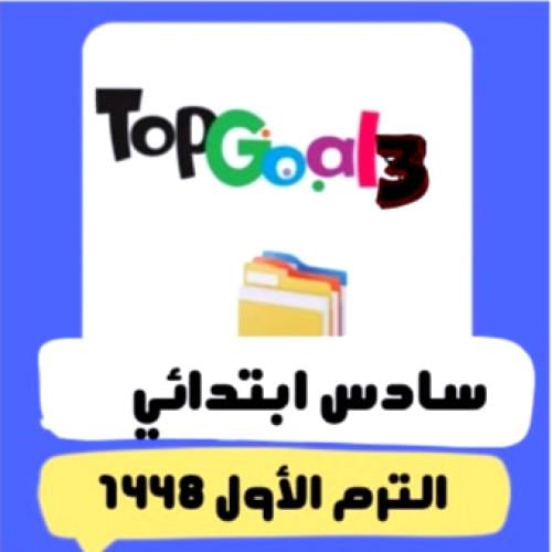 Top Goal 3