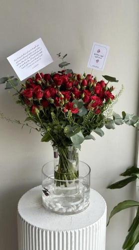 فازة بيبي روز + سمك فايتر | Baby rose vase + fight...