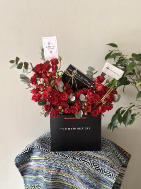 تومي و ورد | Tommy and Ward