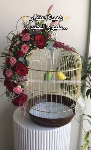 عصافير الحب ( طيور) | Love birds (birds)