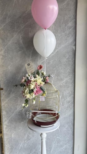 عصافير الحب ( طيور) | Love birds (birds)