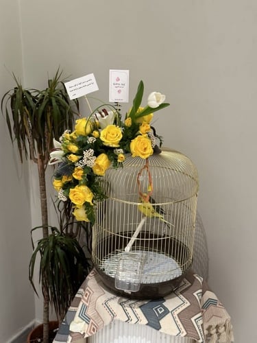 عصافير الحب ( طيور )