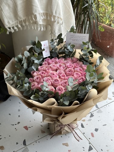 باقة ميلا | Mila Package