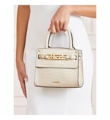 شنطة من جيس