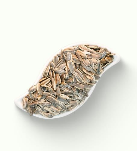 حب دوار الشمس 1 ك +1 مجانا