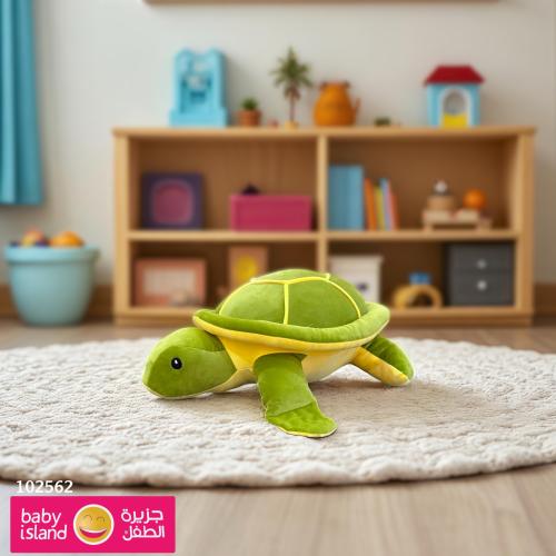 سوفت سلحفاة