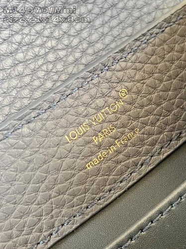 لوي فيتون كابسين BB مقاس21 cm