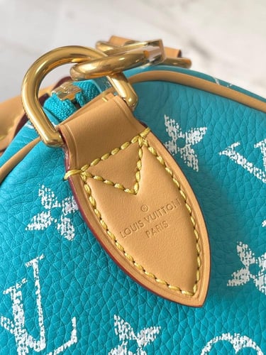 لوي فيتون Speedy Bandoulière مقاس25cm