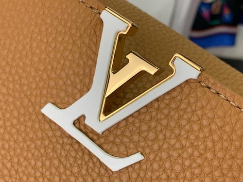 لوي فيتون كابسين ميني 21cm