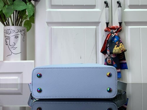 BN لوي فيتون كابسين ميني 21cm