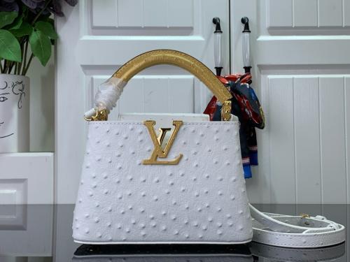 لوي فيتون كابسين ميني 21cm