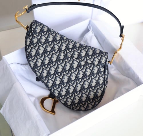 ديور سادل باق مقاس 25.5cm