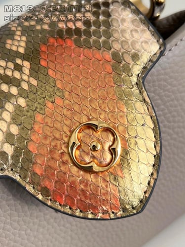 لوي فيتون كابسين ميني 21cm