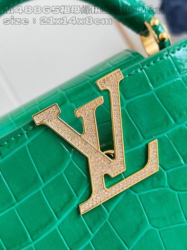 لوي فيتون كابسين BB مقاس21cm