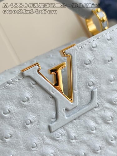 لوي فيتون كابسين BB مقاس21cm