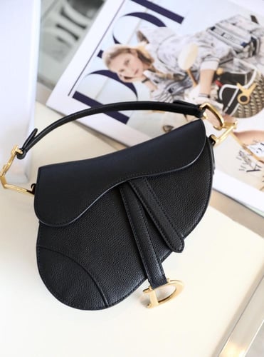 ديور سادل باق مقاس 19cm