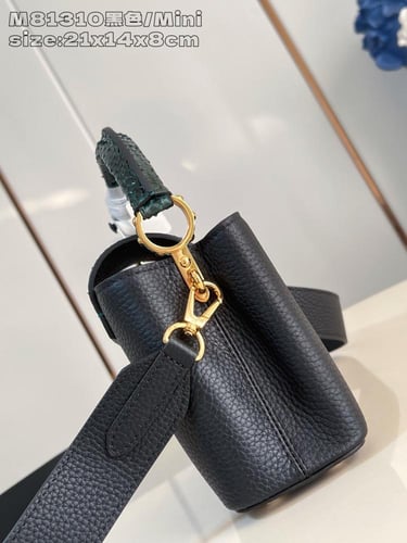 لوي فيتون كابسين ميني 21cm