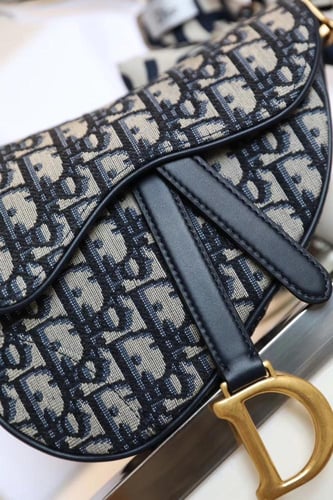 ديور سادل باق مقاس 19cm