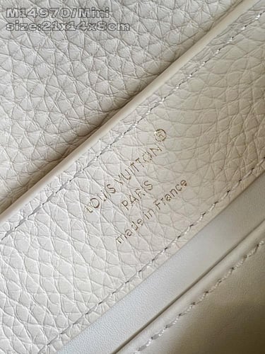 لوي فيتون كابسين BB مقاس21 cm