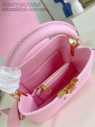 لوي فيتون كابسين BB مقاس21cm