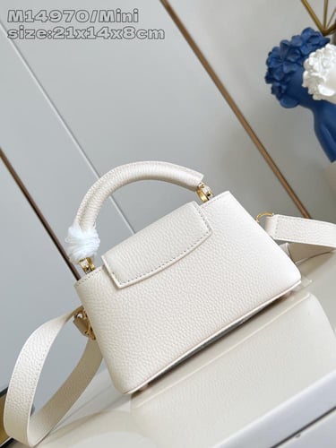 لوي فيتون كابسين BB مقاس21 cm