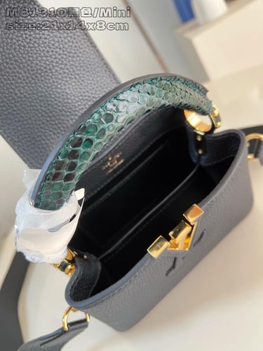 لوي فيتون كابسين ميني 21cm