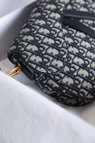 ديور سادل باق مقاس 25.5cm