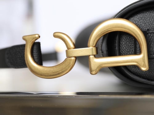 ديور سادل باق مقاس 25.5cm