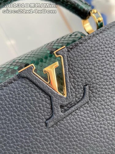 لوي فيتون كابسين ميني 21cm