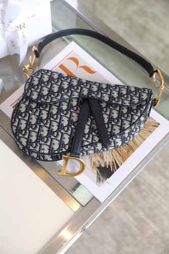 ديور سادل باق مقاس 25.5cm