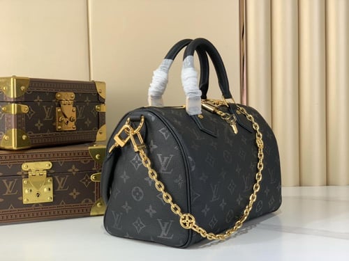لوي فيتون Speedy Bandoulière مقاس25cm