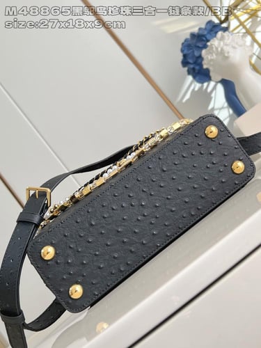 لوي فيتون كابسين BB مقاس27cm