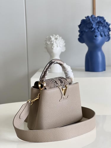 لوي فيتون كابسين BB مقاس21cm