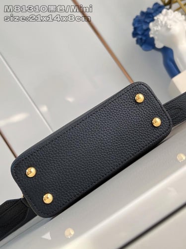 لوي فيتون كابسين ميني 21cm