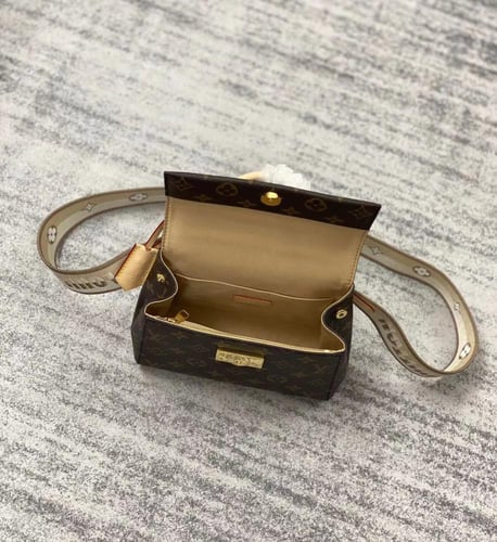 لوي فيتون Cluny Mini مقاس 20cm