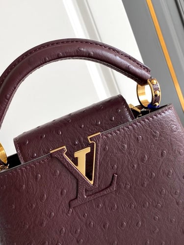 لوي فيتون Capucines مقاس 21cm