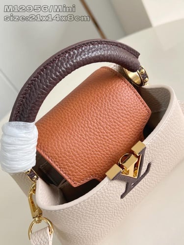 لوي فيتون كابسين BB مقاس21cm