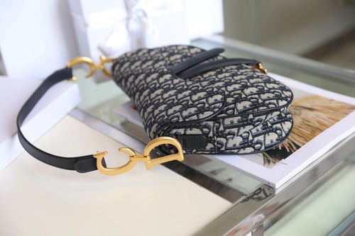 ديور سادل باق مقاس 25.5cm