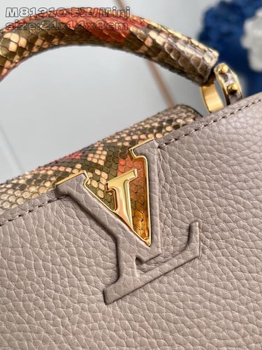 لوي فيتون كابسين ميني 21cm