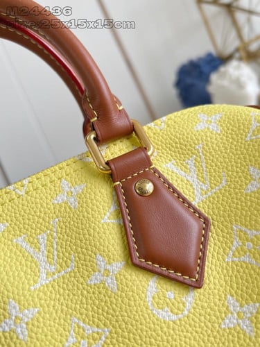 لوي فيتون Speedy Bandoulière مقاس25cm