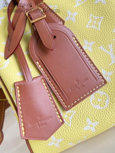 لوي فيتون Speedy Bandoulière مقاس25cm