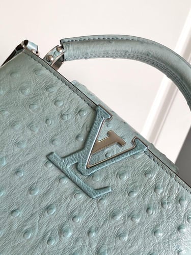 لوي فيتون Capucines مقاس 21cm