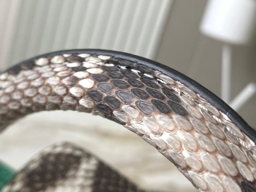 لوي فيتون كابسين BB مقاس27cm